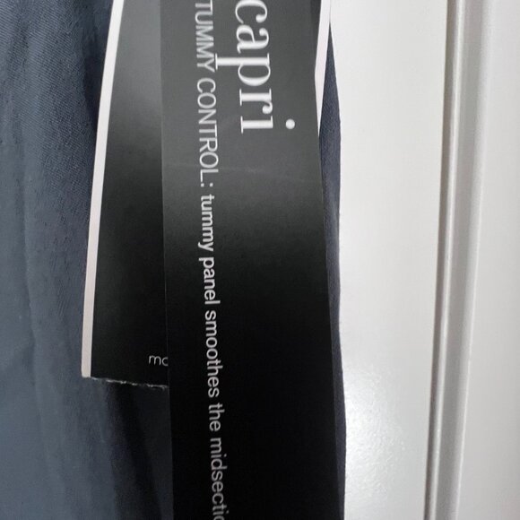 NWT 20W Grey Alfani Tummy-Control Pull-On Capri Pants - Picture 5 of 5